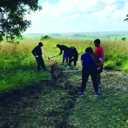 GUAM HIGH SCHOOL STUDENTS MAINTAIN A FIREBREAK. PHOTO: GUAM FORESTRY