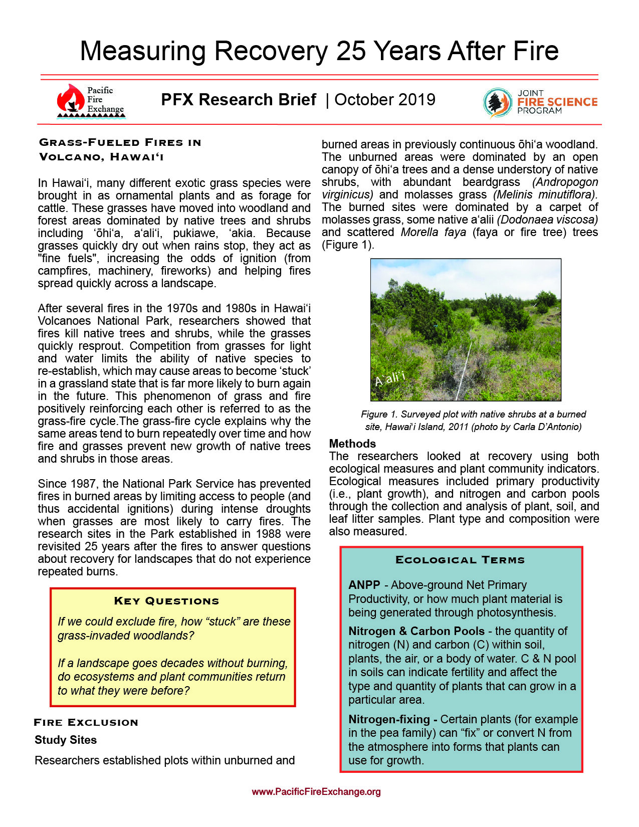 PFX_ResearchBrief_Recovery25Years_10.14.19-01