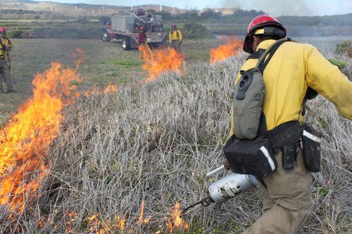 A 2010 CONTROLLED BURN UNDERWAY AT JAMES CAMPBELL NATIONAL WILDLIFE REFUGE. PRESCRIBED BURNS ARE USED TO IMPROVE WATER BIRD HABITAT THERE. PHOTO: US ARMY GARRISON - HAWAII.