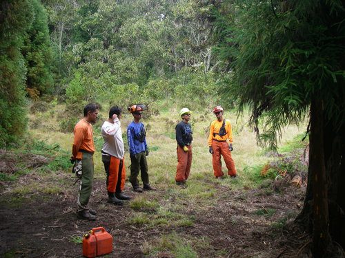 ANDY, SECOND FROM RIGHT, TEACHING S212 CHAINSAW. PHOTO: ANDY KIKUTA.