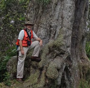 JB STOPS TO APPRECIATE A LARGE ACACIA KOA TREE. PHOTO: JB FRIDAY.