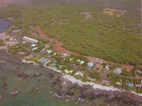 The Puako Community Fuel Break Appears As a Devegetated Buffer of Brown Between the Houses and Kiawe Trees. Photo: Hawaii Wildfire Management Organization.