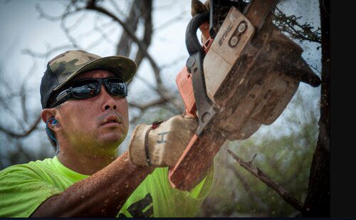 PO‘OKELA HANSEN CUTTING BACK TREES TO CLEAR VEGETATION ON KAHO‘OLAWE. (PHOTO: CIVIL BEAT)