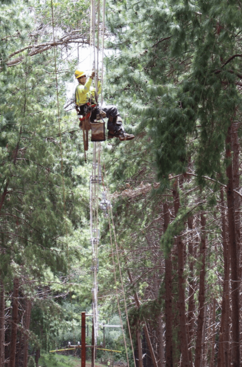 A MAUI ELECTRIC LINEMAN IS HARNESSED TO A HEAVY GAUGE SUPPORT WIRE TO INSTALL THE CABLE SPACERS.