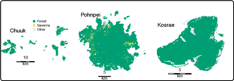 Pohnpei, Kosrai, Chuck Land Cover