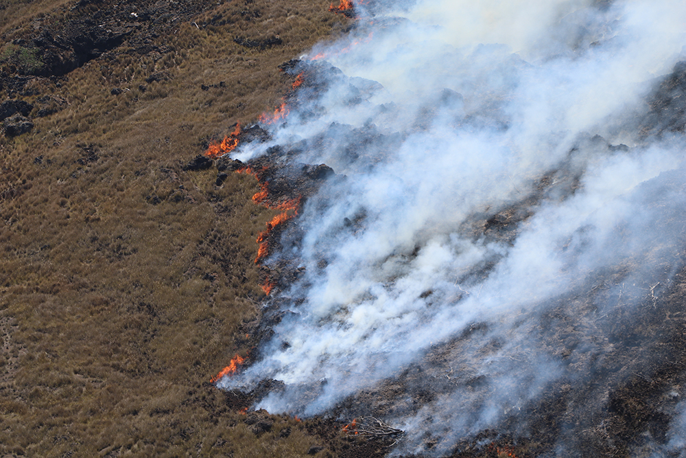The Mauna Kea Fire: A Test Of Courage For Hawai'I Island Firefighters - fg9nv2l