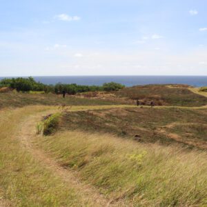 3 Guam road firebreak - thumbnail