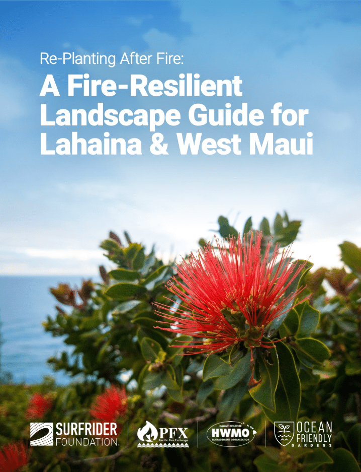 Landscaping Guide Cover