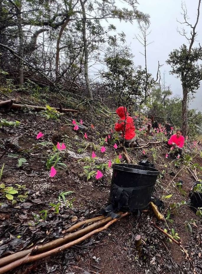 berm Makaha WMWP 2024_cropped