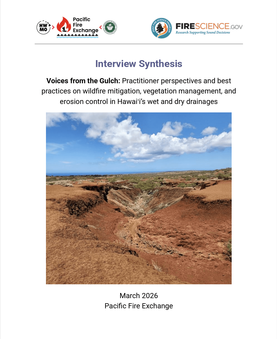 Interview Synthesis Title Page