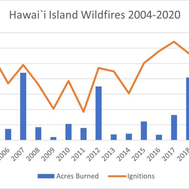 Hawaii Island No Acres Burned and Ignitions, 2004-2020