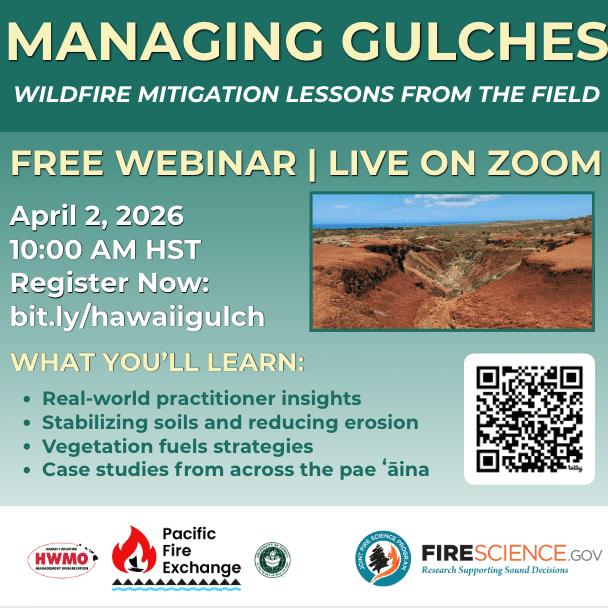 Screenshot 2026-03-31 at 4.20.40 PM